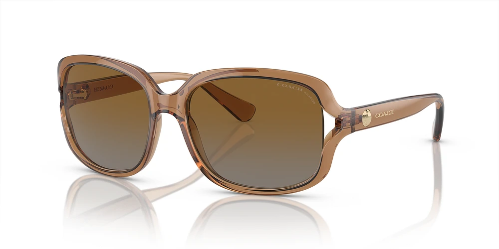 Sunglass hut coach top
