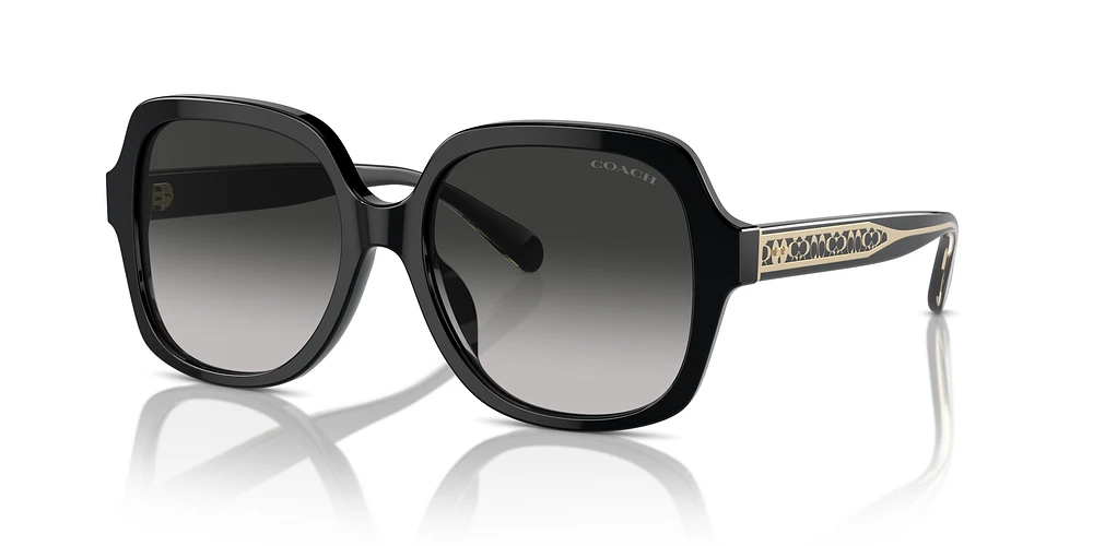Sunglass hut coach outlet