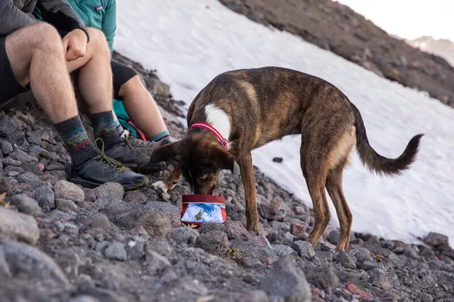 Ruffwear The Summit at Fritz Farm