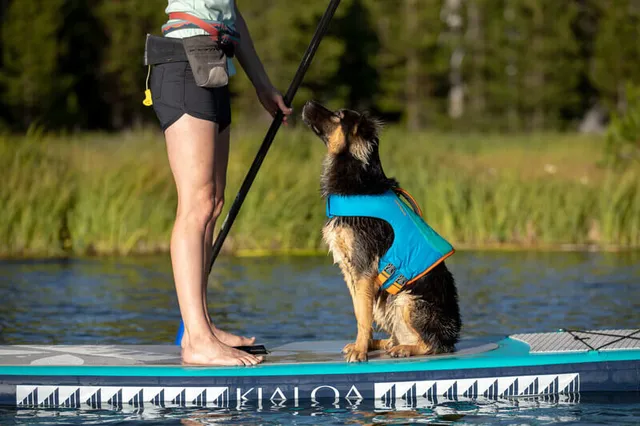 Ruffwear The Summit at Fritz Farm