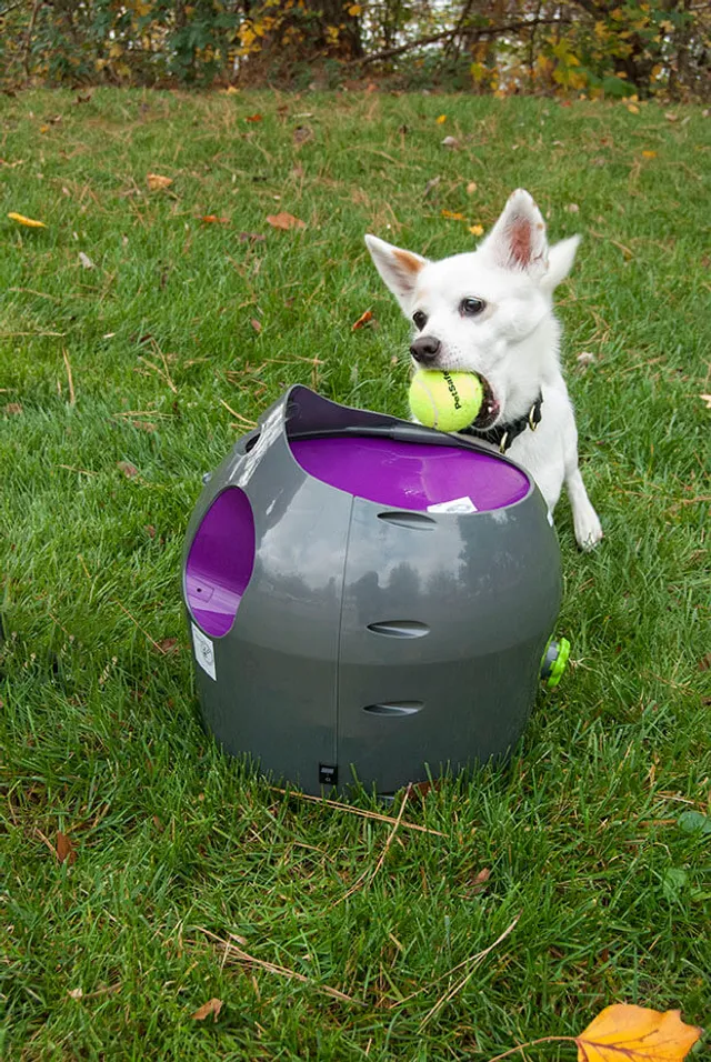 Petsafe ball launcher clearance manual