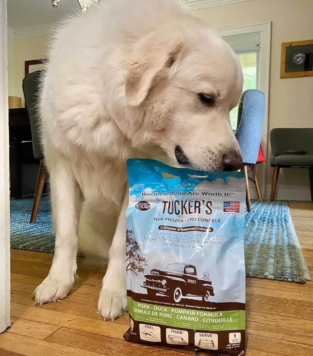 Tucker's raw on sale frozen dog food