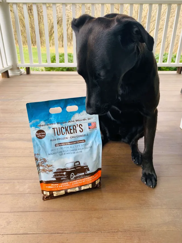 Tuckers frozen dog outlet food