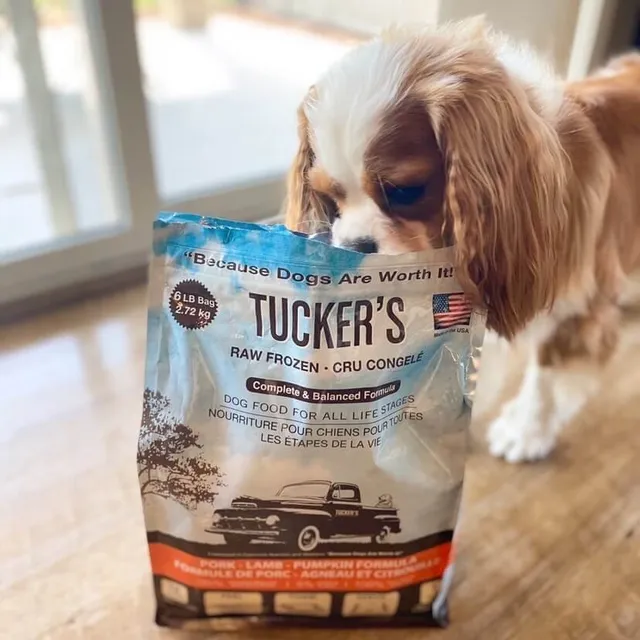 Tucker's raw frozen outlet dog food