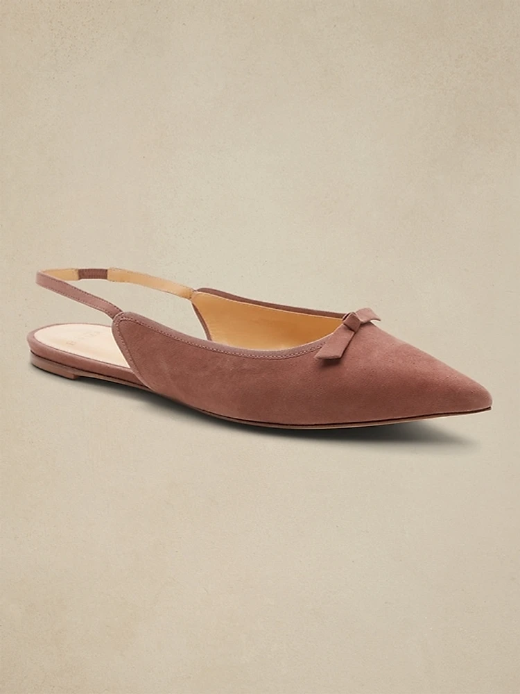 Banana Republic Alexandre Birman | Clarita Pointy-Toe Ballet Flat at ...