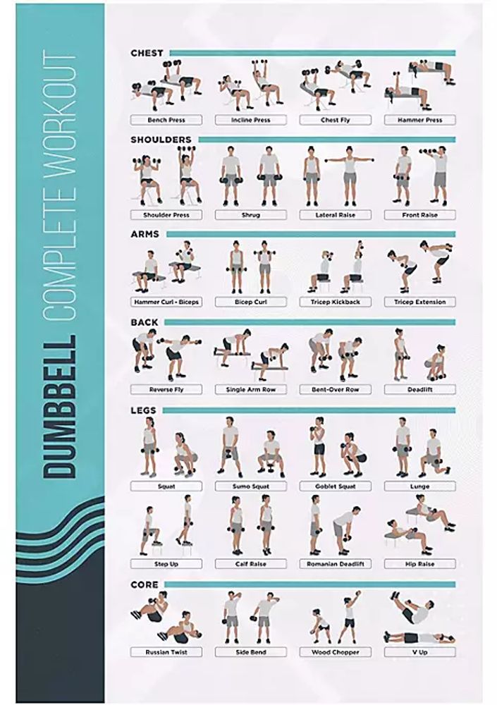 Belk FitMate Dumbbell Workout Exercise Poster Workout Routine With Free ...