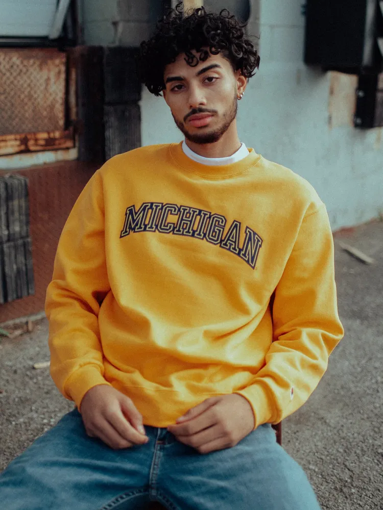 Champion store eco sweater