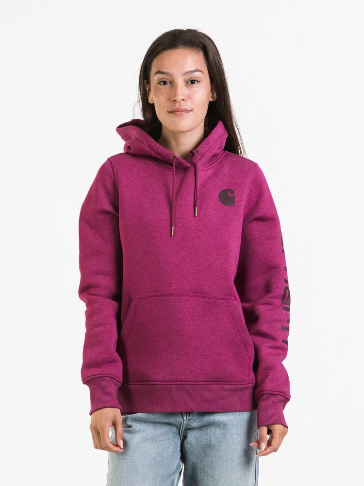 Carhartt logo sleeve hoodie online