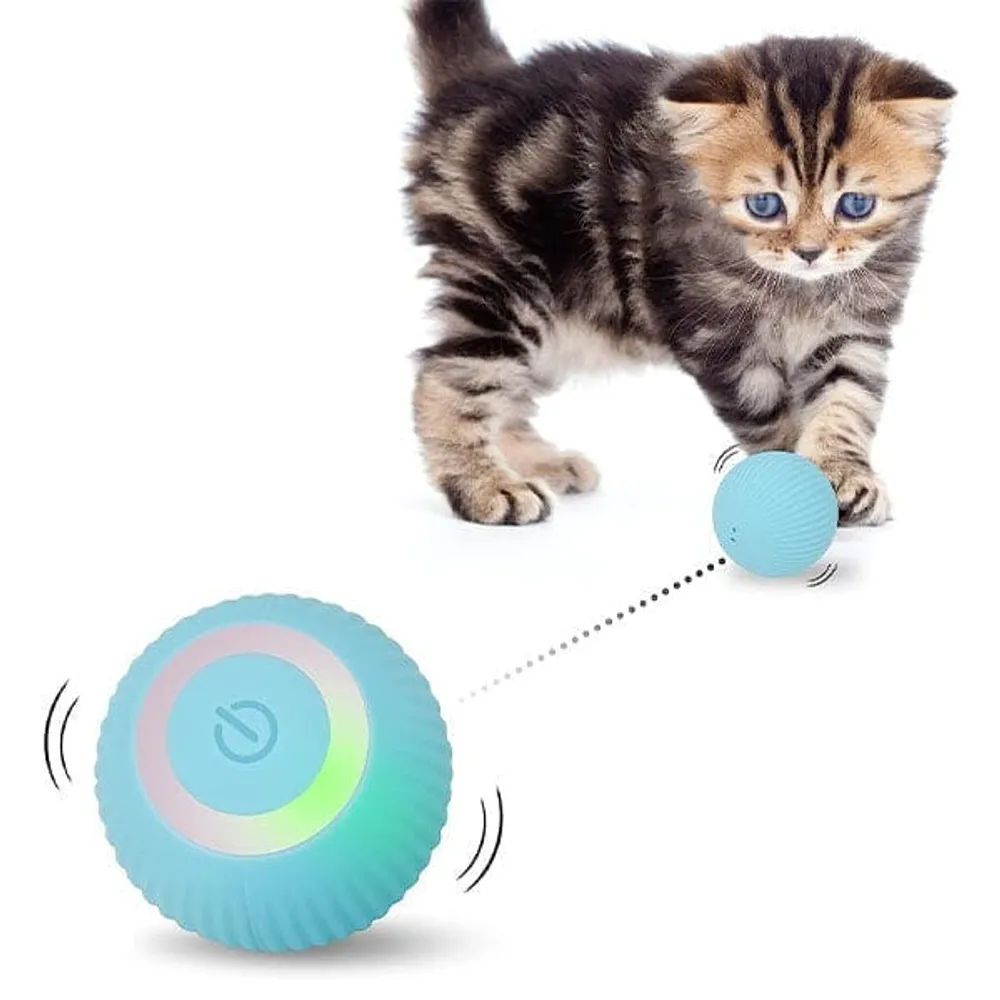 Magic best sale ball cat