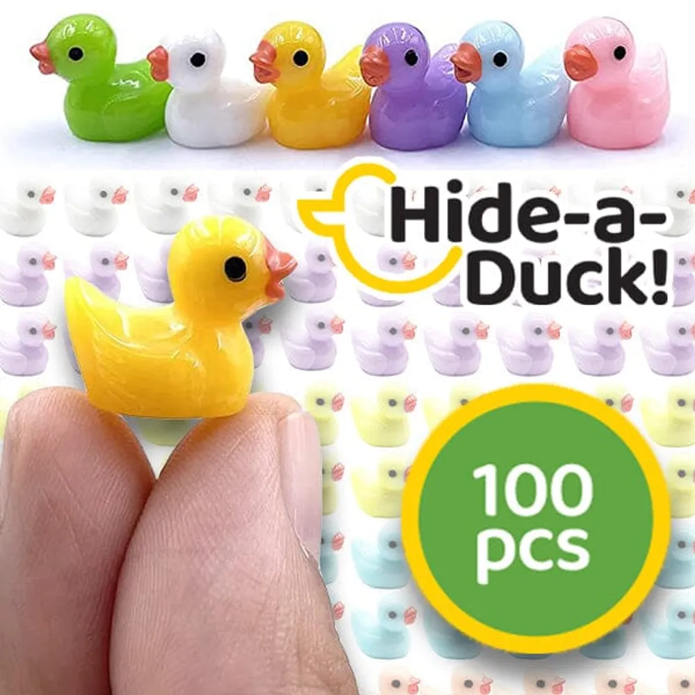 Dollarama 2024 rubber ducks