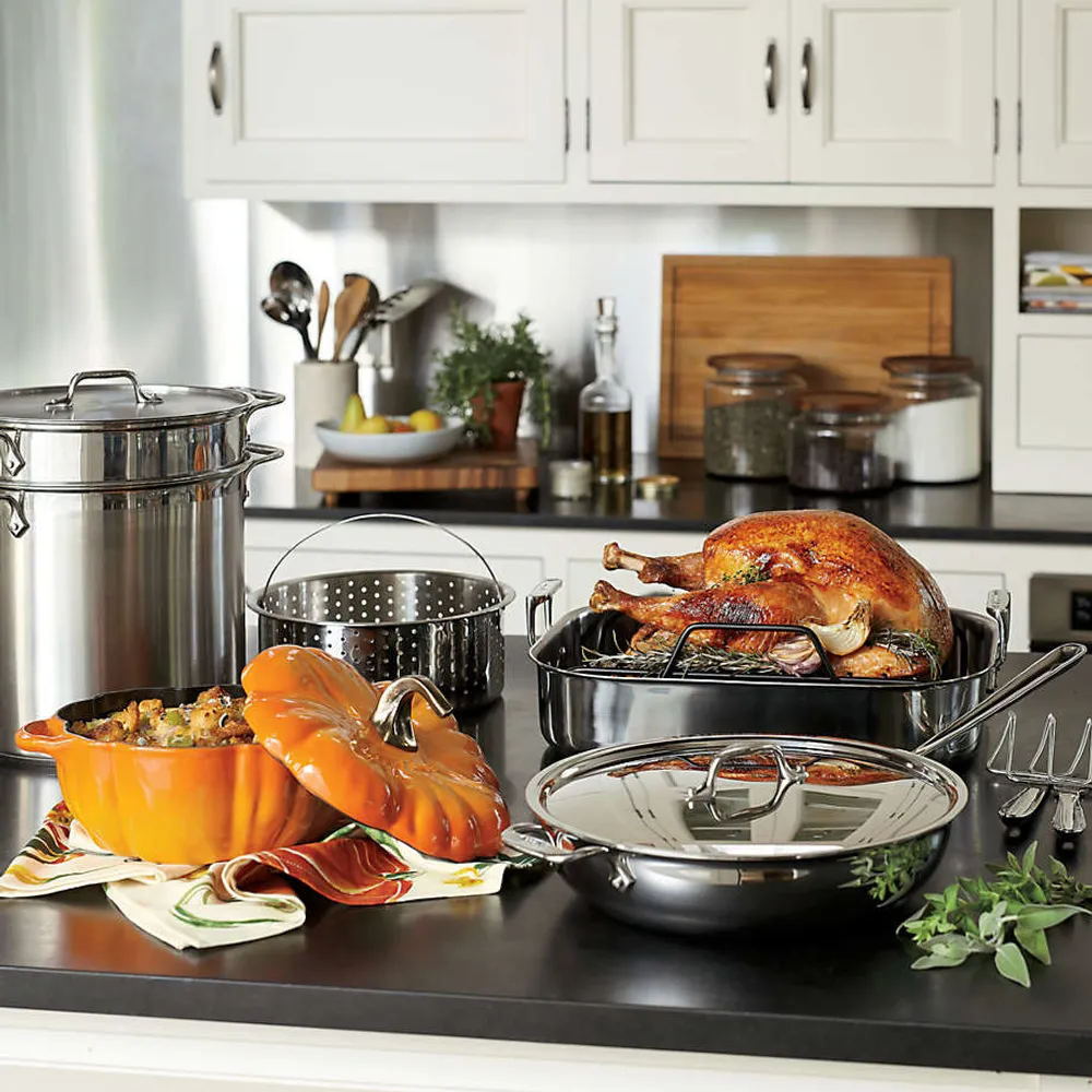 All clad best sale multipot