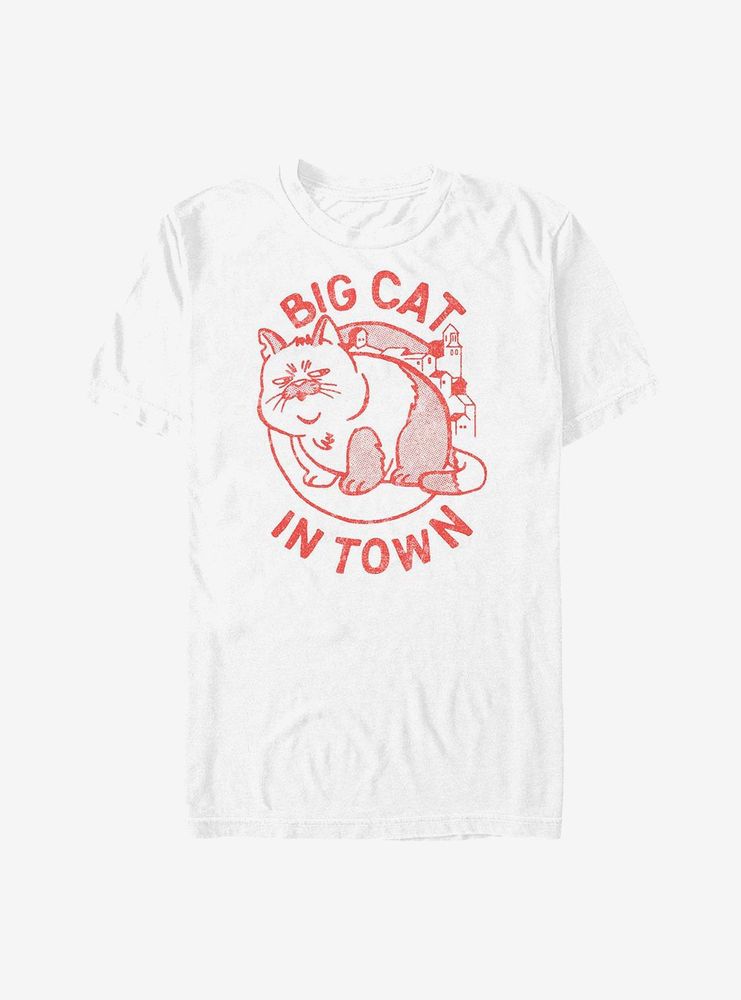 Big 2024 cat clothing