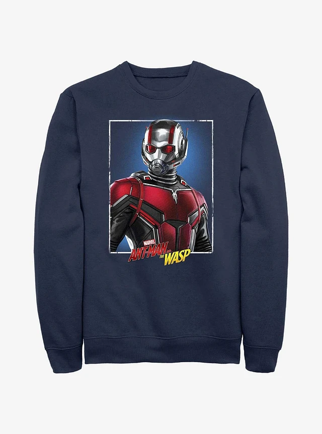 Ant man sweatshirt best sale