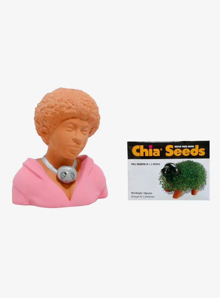 Hot Topic Ice Spice Chia Pet | CoolSprings Galleria