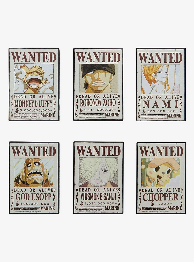 One Piece Wanted Posters Blind Box Magnet | Liberty Center