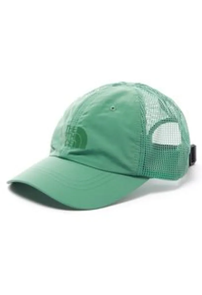 North face baseball on sale hat