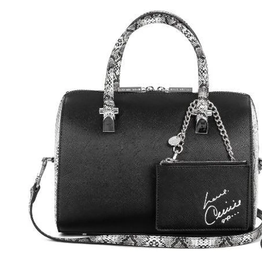 Celine dion 2025 satchel