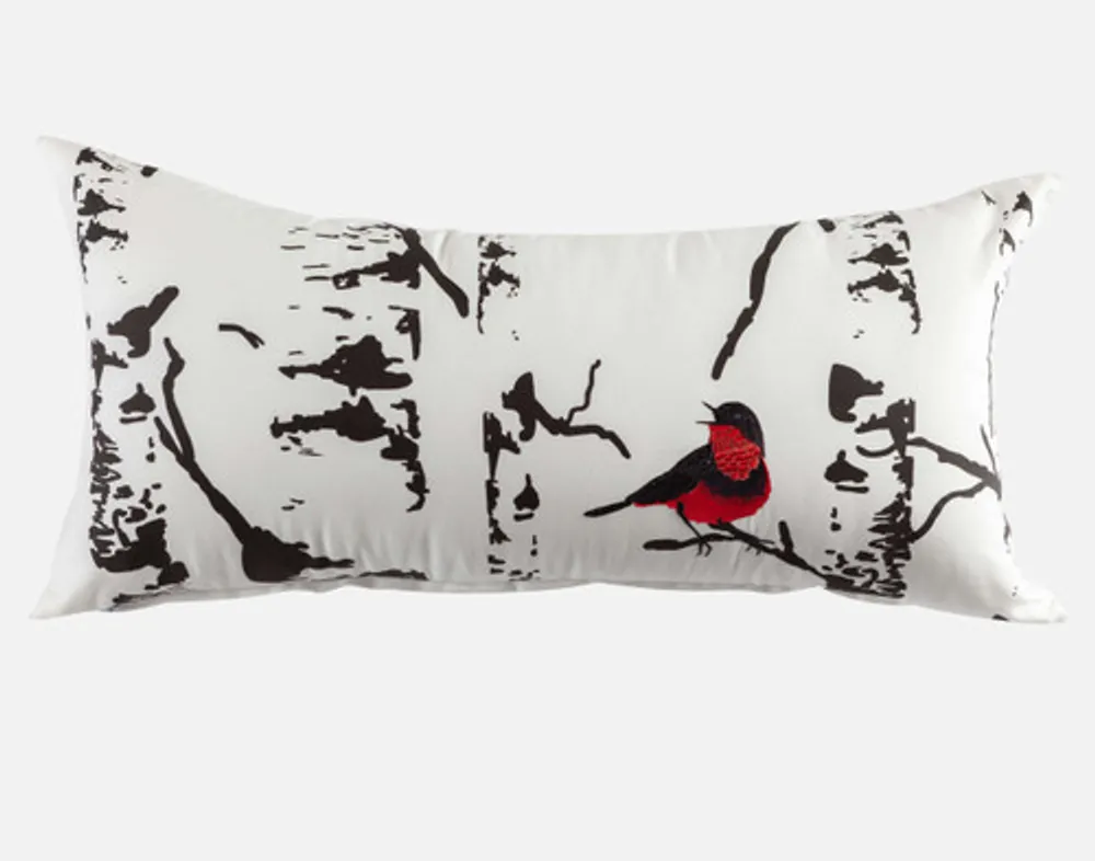 Boudoir cheap pillow cases