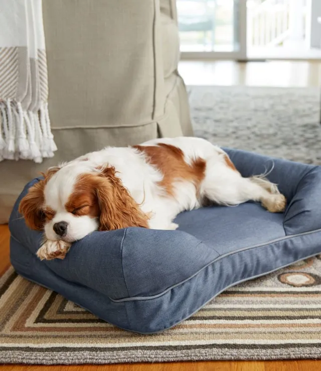 Ll bean therapeutic dog hot sale couch