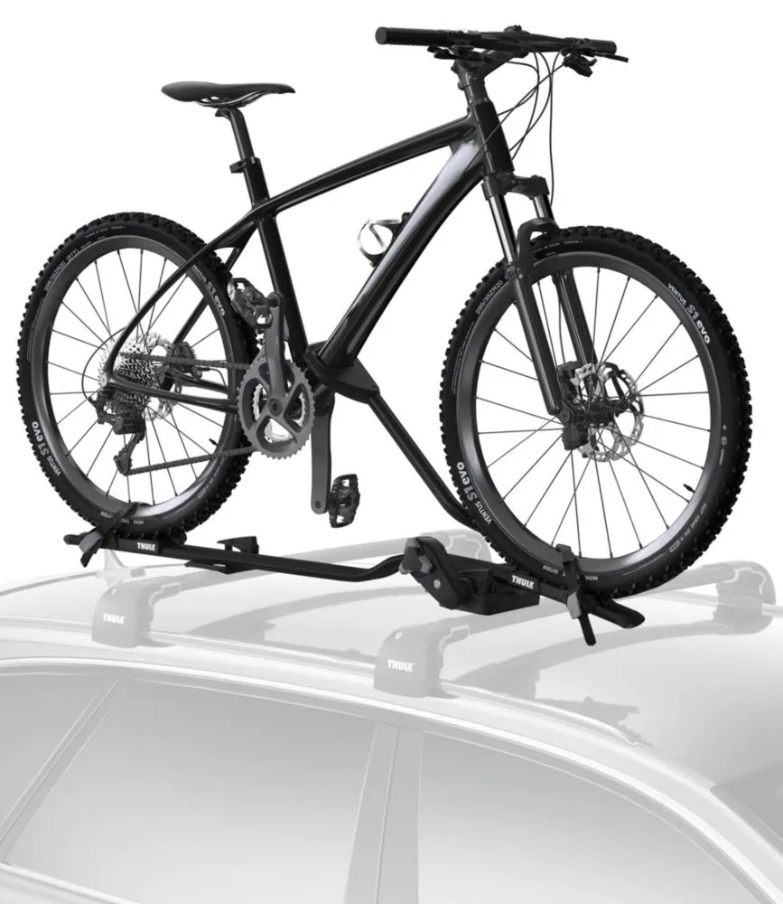 Ll bean store thule bike rack