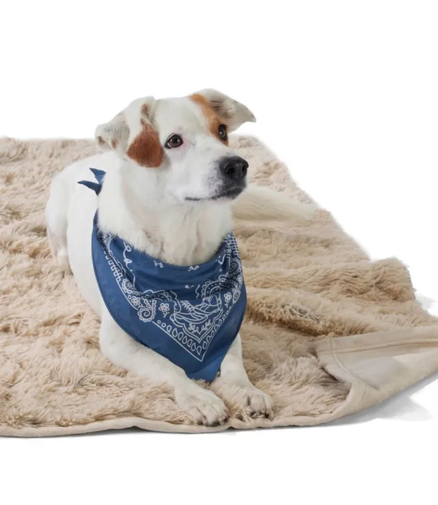 Ll bean dog online blanket