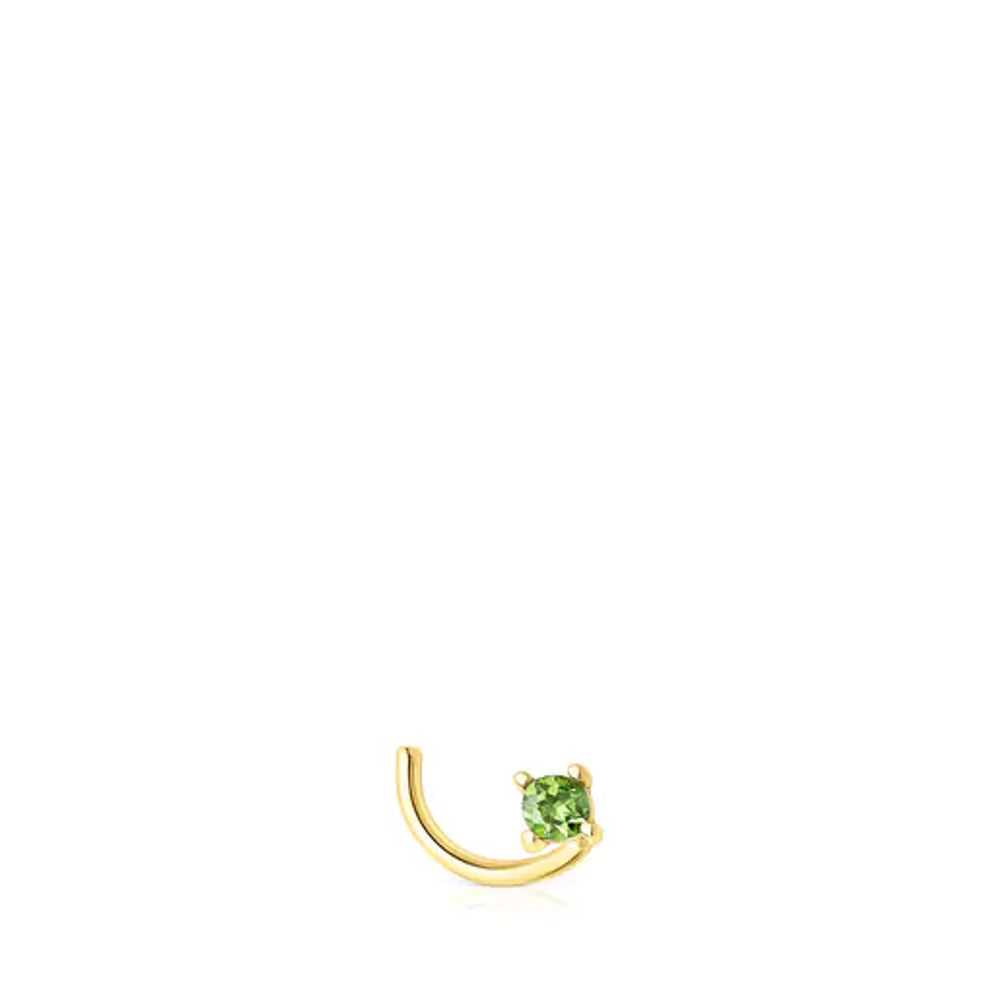 Chrome outlet nose ring