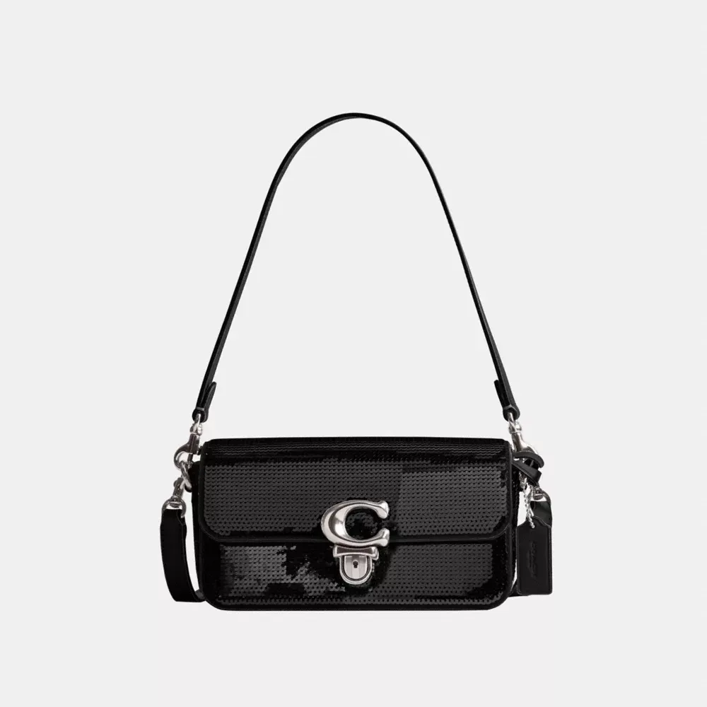 Baguette bag coach online