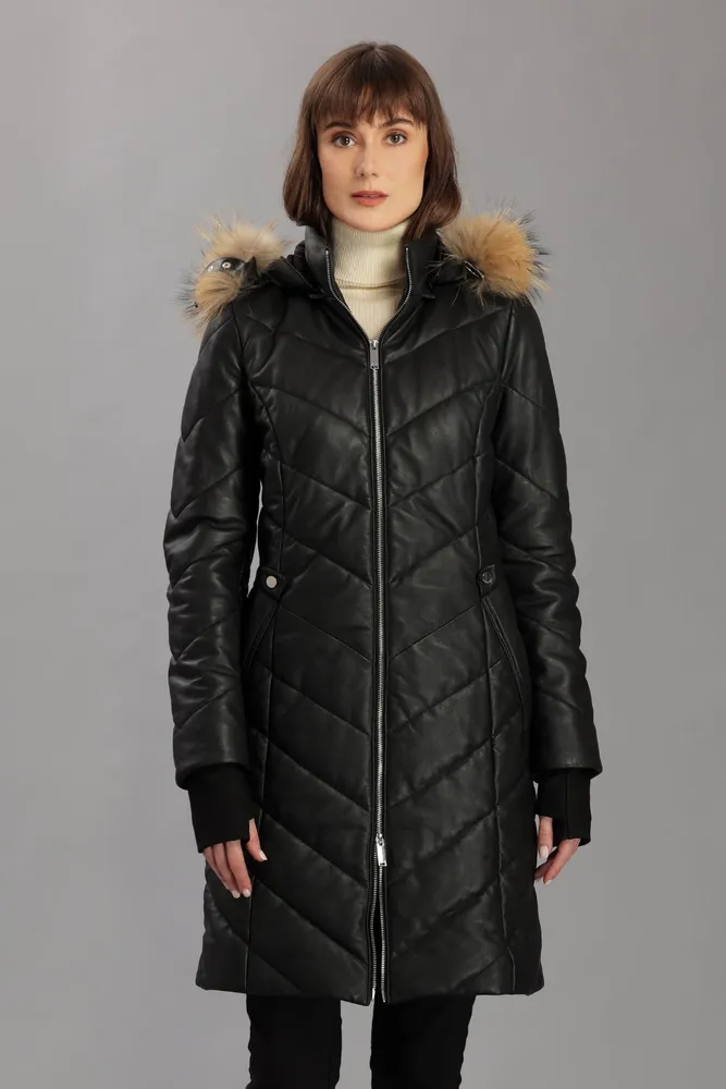 Danier fur collar online