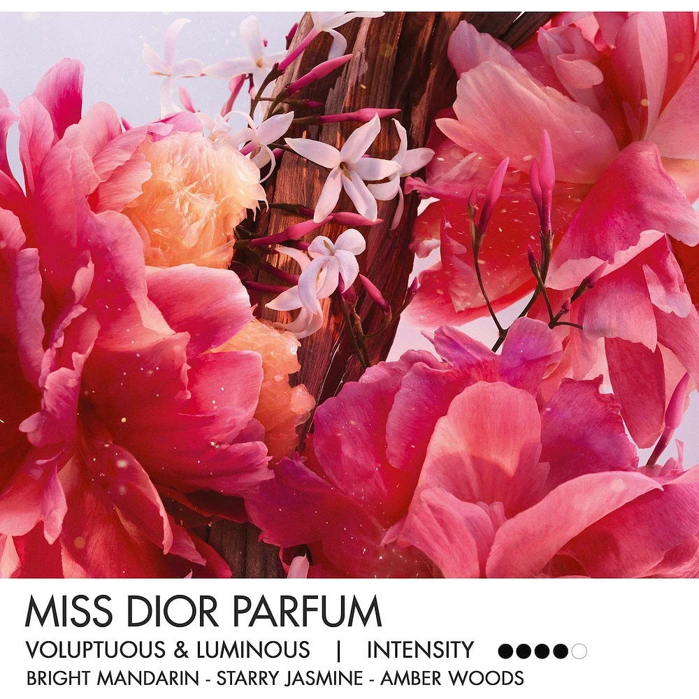 DIOR Miss Dior Mini Miss Parfum Solid Perfume | Erin Mills Town Centre
