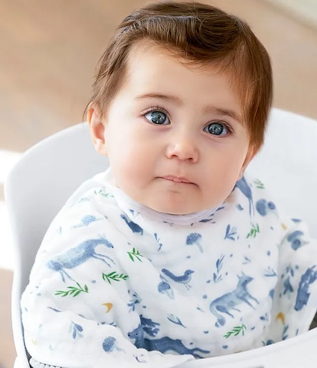 Aden and anais bibs sale clearance