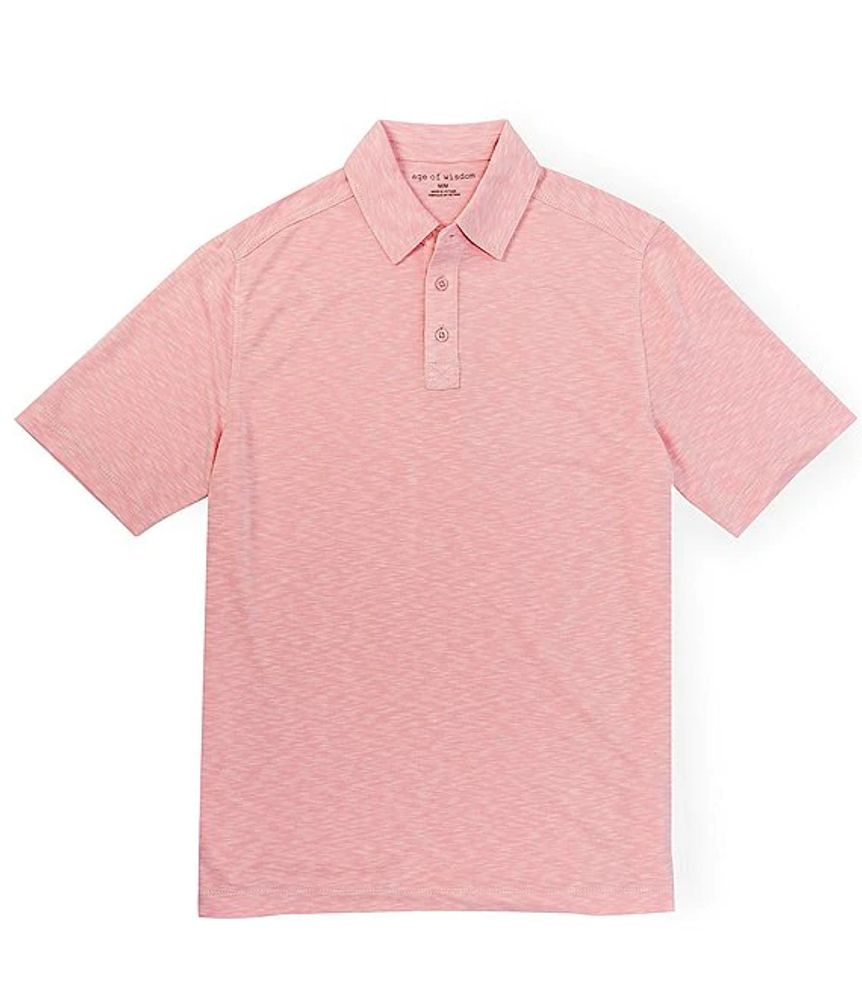 Age of Wisdom Solid Polynosic ShortSleeve Polo Shirt Brazos Mall