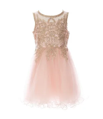 Chantilly place discount floral embroidered dress