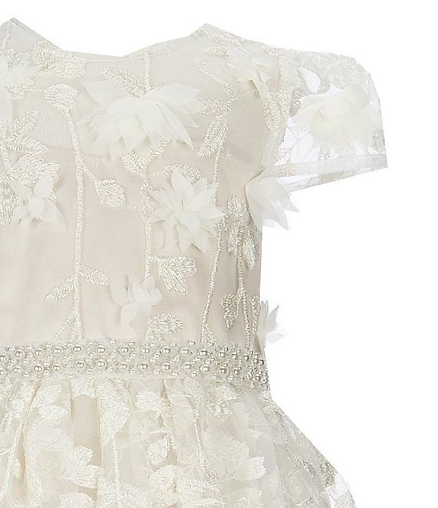 Chantilly place floral embroidered on sale dress