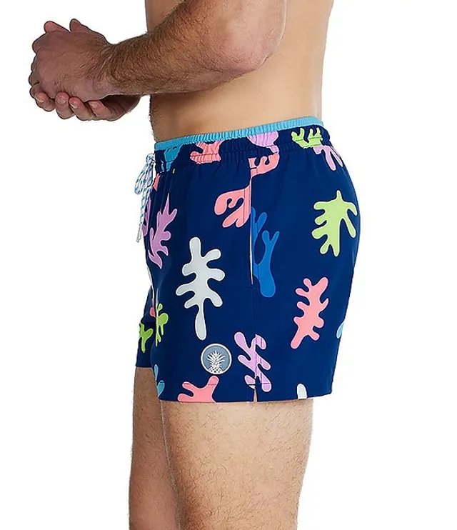 Chubbies 4 inseam on sale