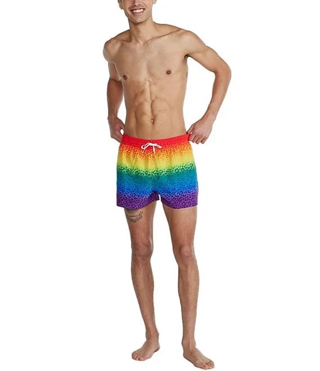 Chubbies 4 inseam cheap