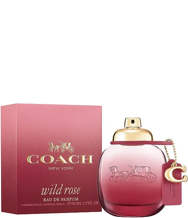 Coach perfume dillards deals