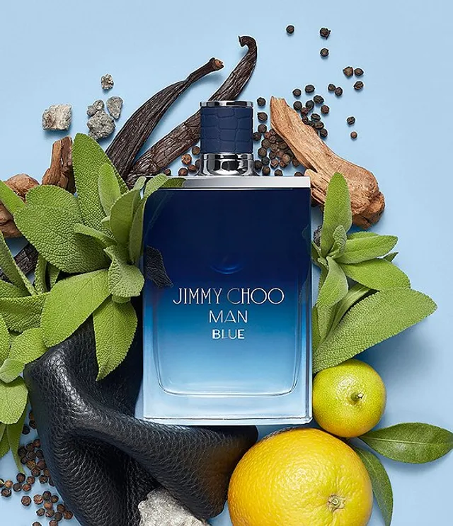 Jimmy choo man dillards hotsell