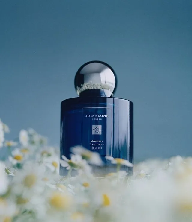 Jo Malone London Moonlit Camomile Cologne 3.4 oz. Hamilton Place