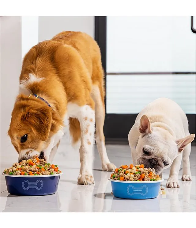 Le creuset clearance dog bowl
