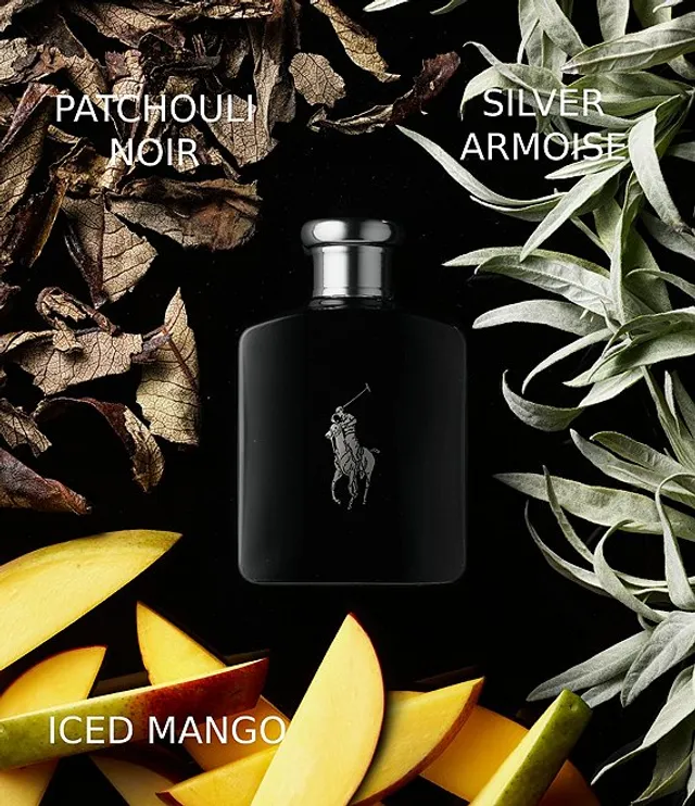 Polo black top cologne dillards
