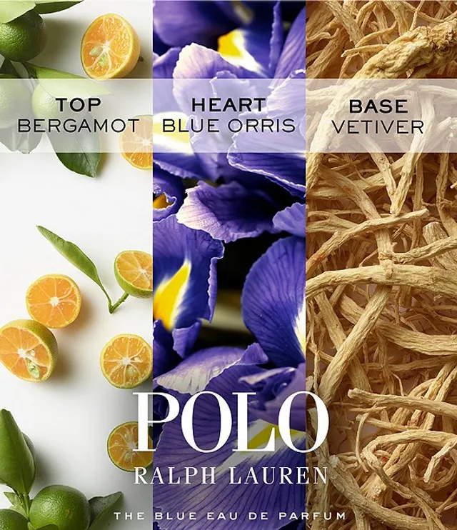 Polo blue dillards sales
