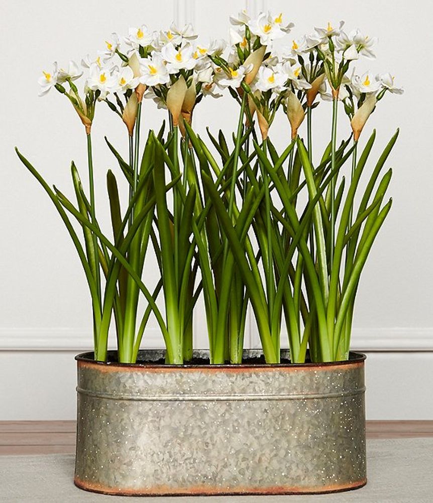Southern Living Faux Flowers Paperwhite Narcissus in Galvanized Pot