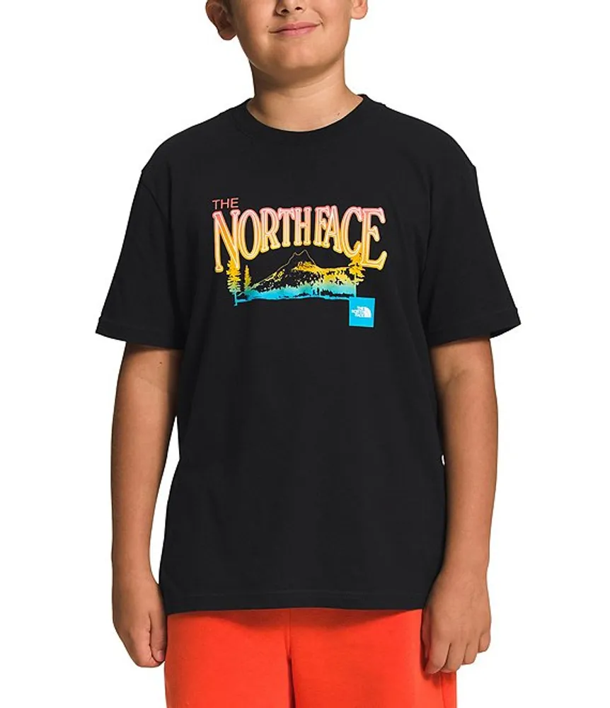 North face 2025 graphic t shirt