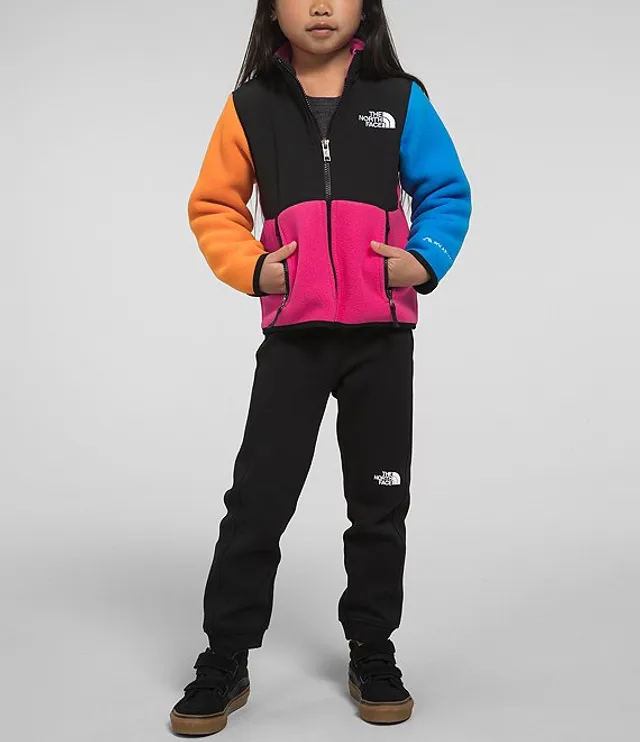 The North Face Little Kids 2T 7 Long Sleeve Color Block Denali