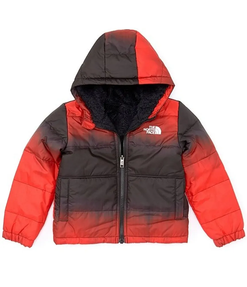 The North Face Little Big Boys 2T 7 Long Sleeve Mt. Chimbo Dip Dye