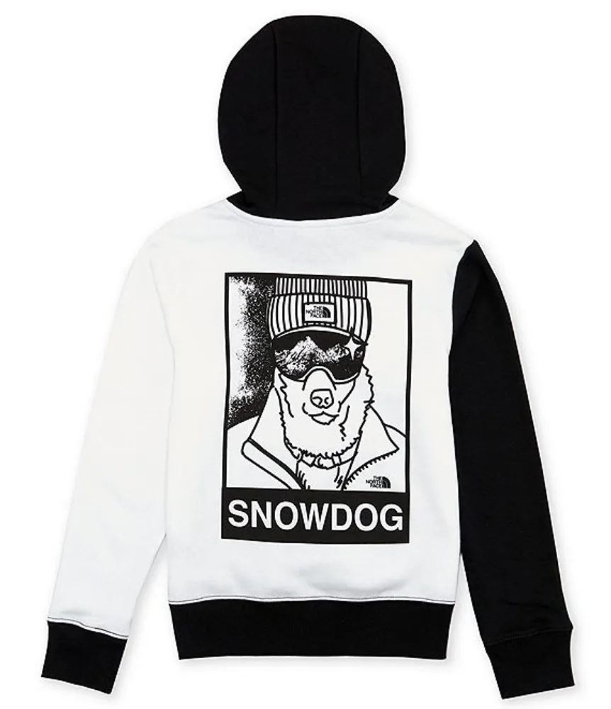 North face sales colorblock hoodie