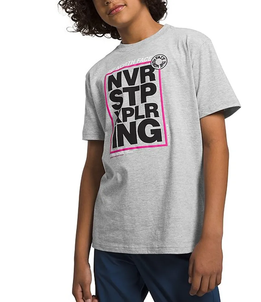 North face never stop exploring t shirt grey best sale
