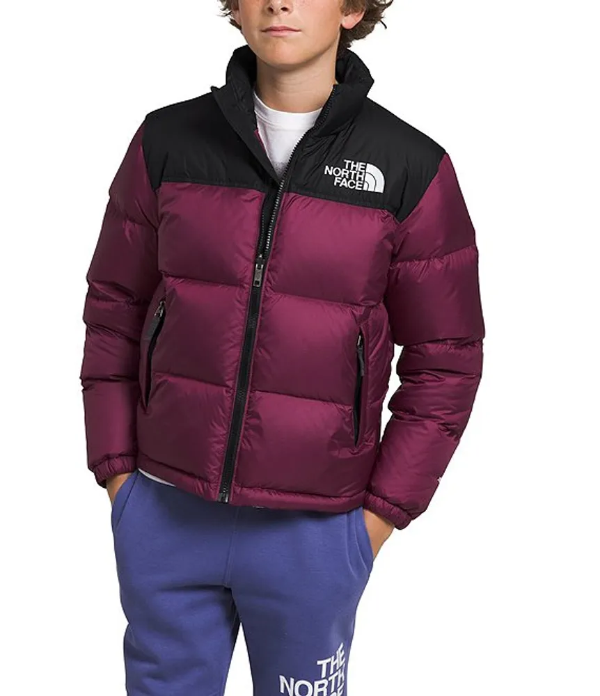 The north face goose down hot sale