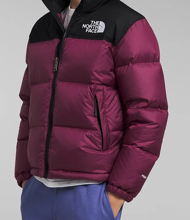 The north face top nuptse 700 goose down