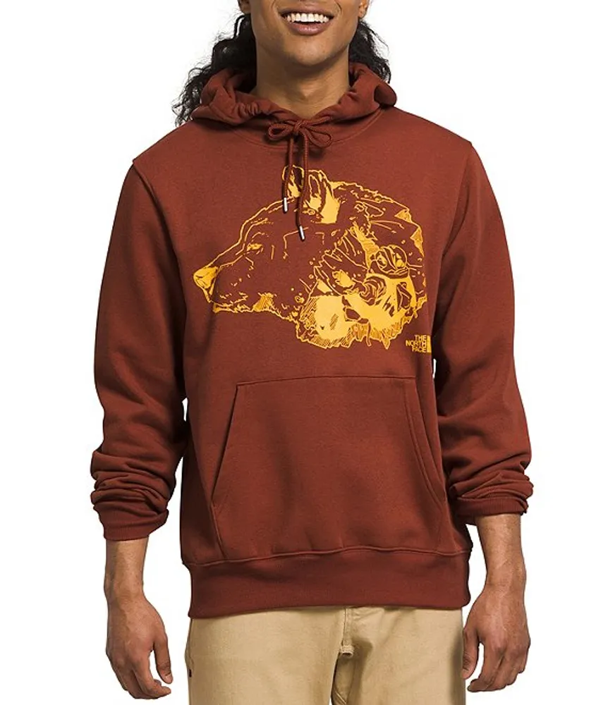 The north sales face bear hoodie